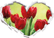 Rote Tulpen mit Tropfen bedeckt  3D Wandtattoo Herz