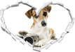 Niedlicher Hundewelpe mit Kamera  3D Wandtattoo Herz