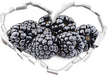 Frische Johannisbeeren  3D Wandtattoo Herz