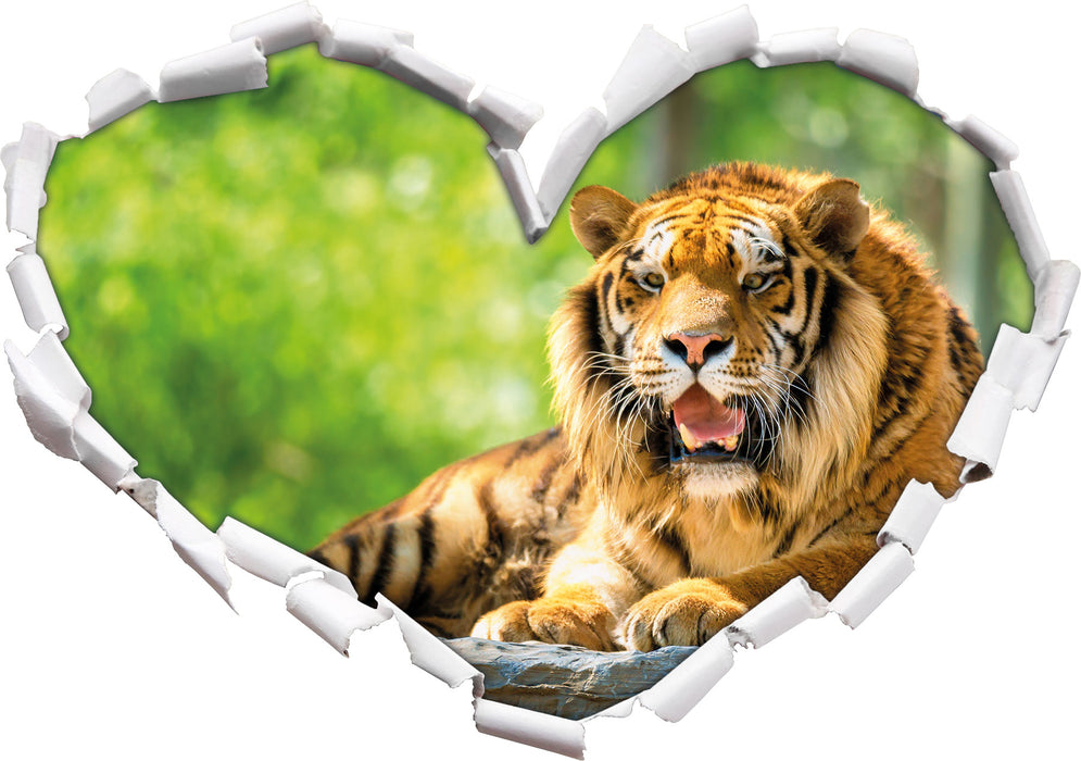 Tiger auf einem Stein  3D Wandtattoo Herz