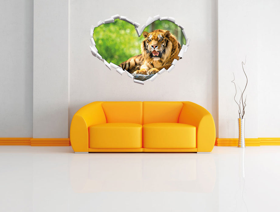 Tiger auf einem Stein 3D Wandtattoo Herz Wand