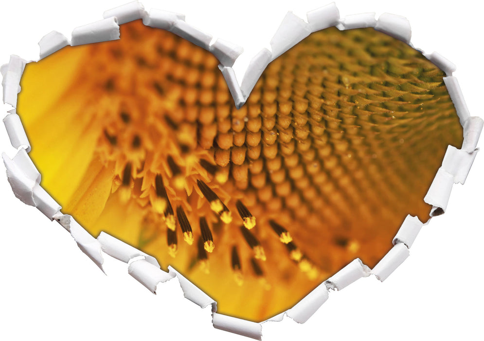 Wunderschöne gelbe Sonnenblume  3D Wandtattoo Herz