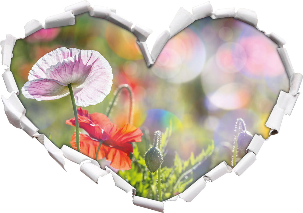 Kalifornischer Mohn Frühling 3D Wandtattoo Herz