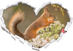 Nagendes Eichhörnchen im Moos  3D Wandtattoo Herz