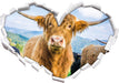 Blick einer Kuh an der Weide 3D Wandtattoo Herz