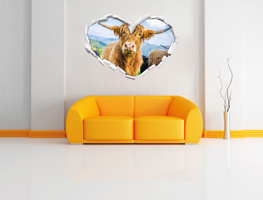 Blick einer Kuh an der Weide 3D Wandtattoo Herz Wand