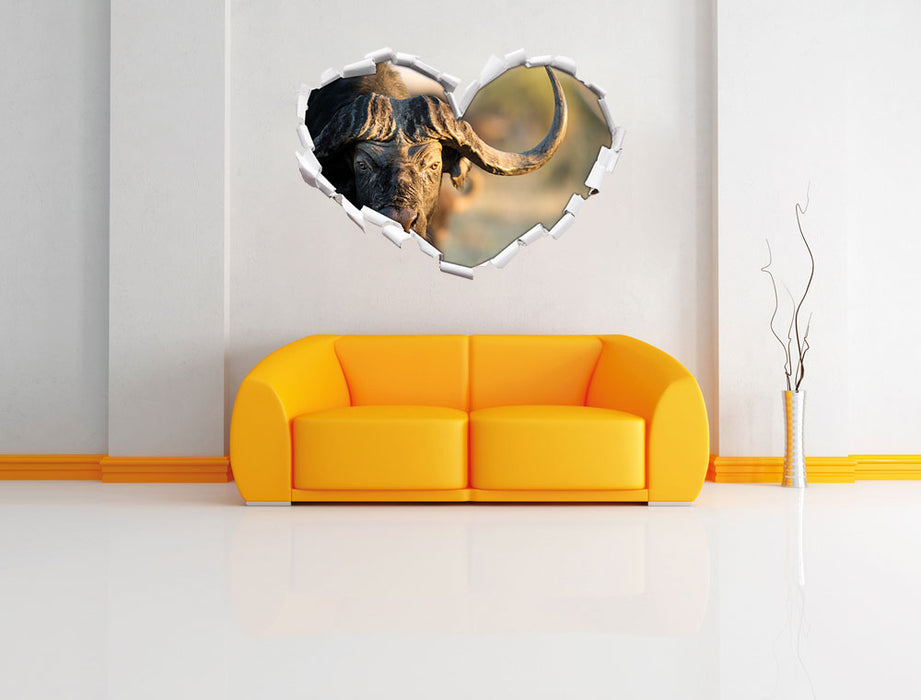 Kaffernbüffel mit Hörnern 3D Wandtattoo Herz Wand