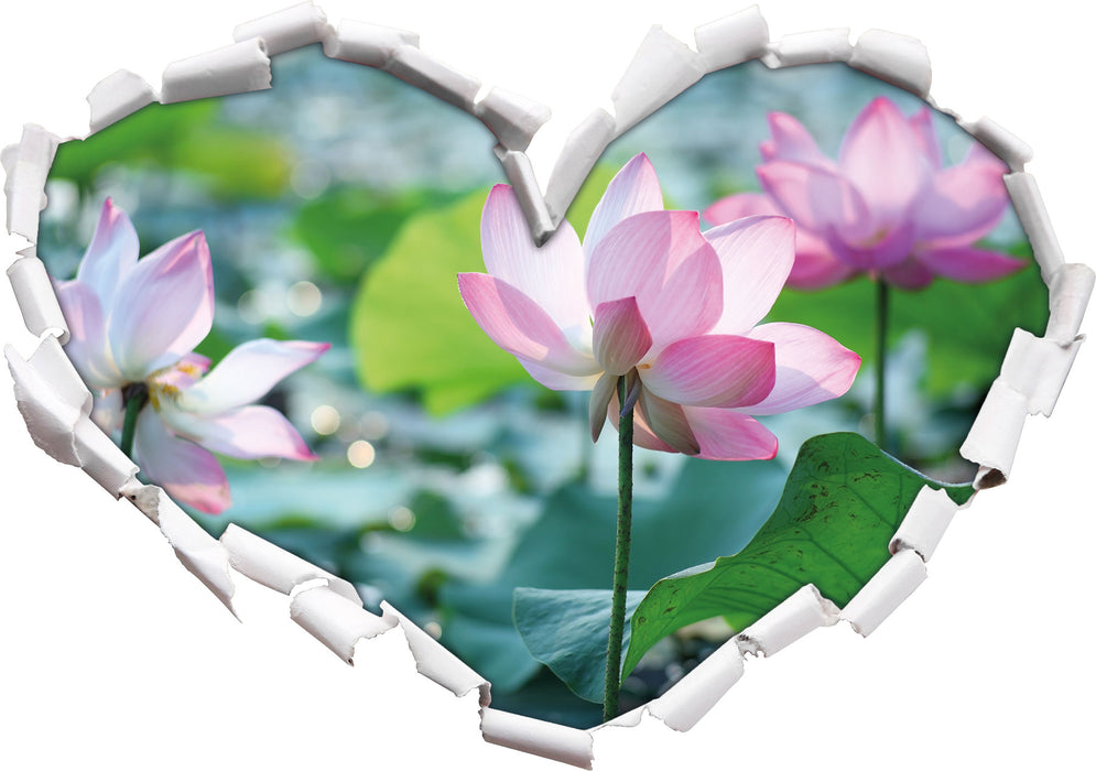 rosa Lotusblüte im Teich  3D Wandtattoo Herz