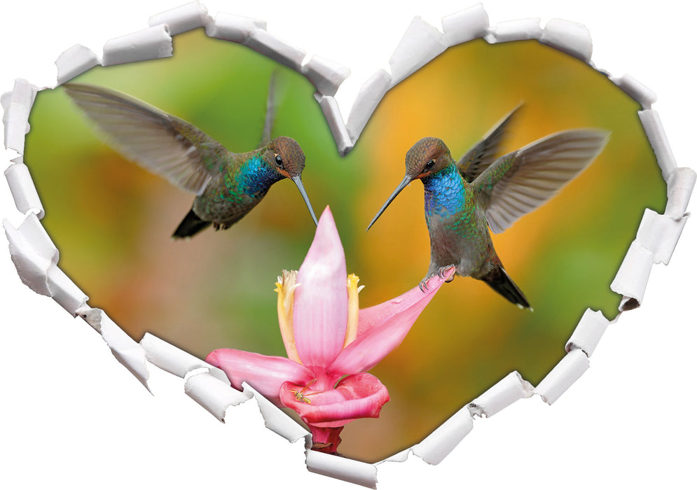 Zwei Kolibris in den Tropen  3D Wandtattoo Herz