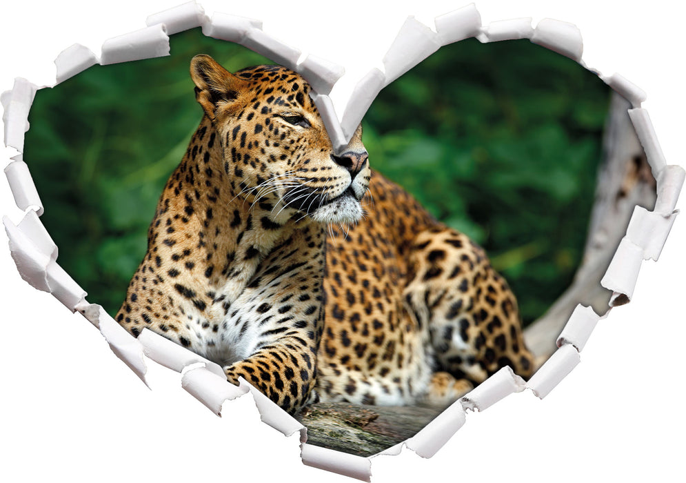 Wunderschöner Leopard in der Natur  3D Wandtattoo Herz