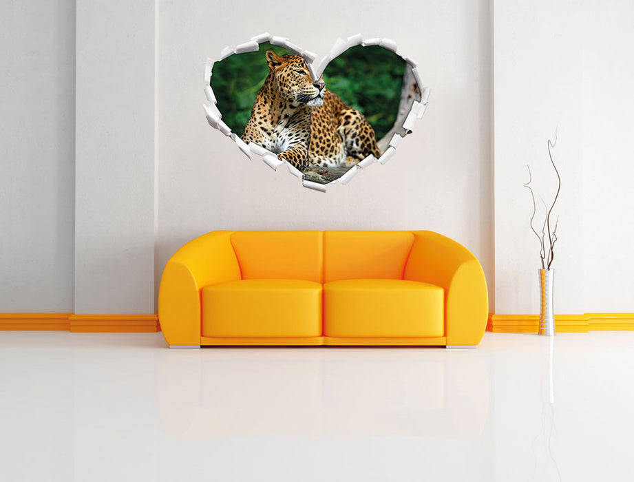 Wunderschöner Leopard in der Natur 3D Wandtattoo Herz Wand