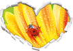Marienkäfer auf gelber Blume  3D Wandtattoo Herz