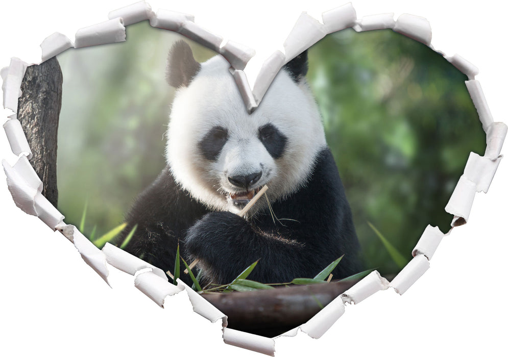 Niedlicher Panda isst Bambus  3D Wandtattoo Herz
