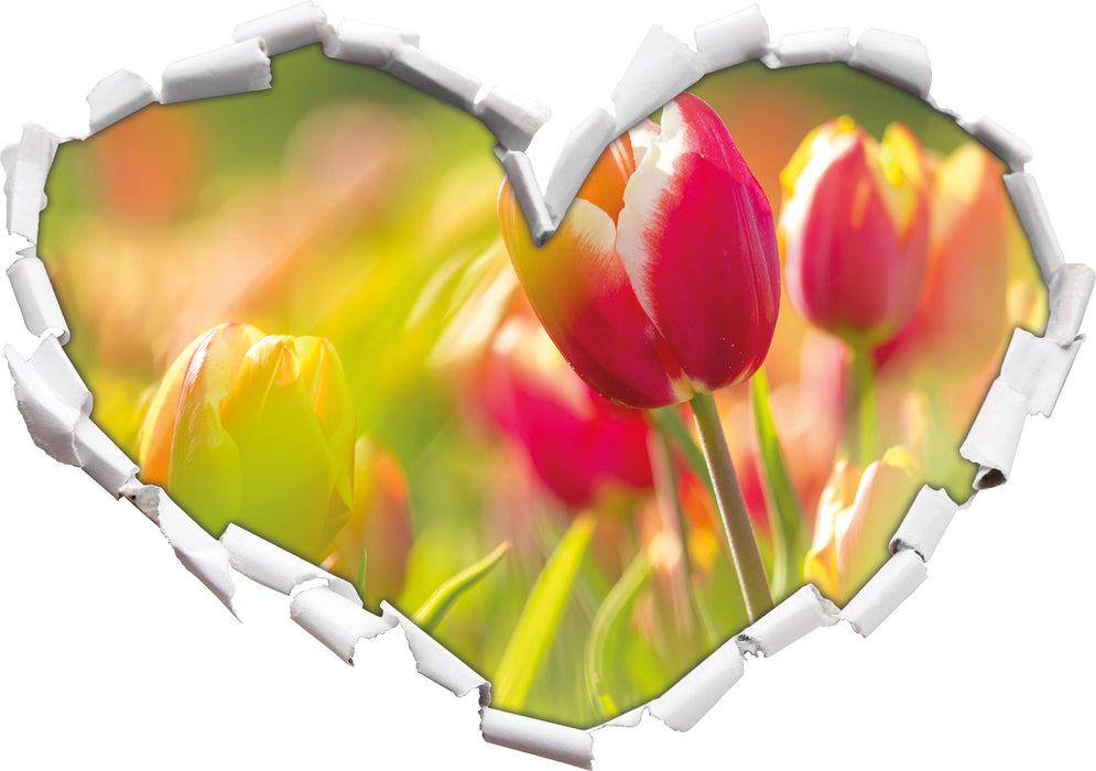 Blühende rote Tulpen  3D Wandtattoo Herz