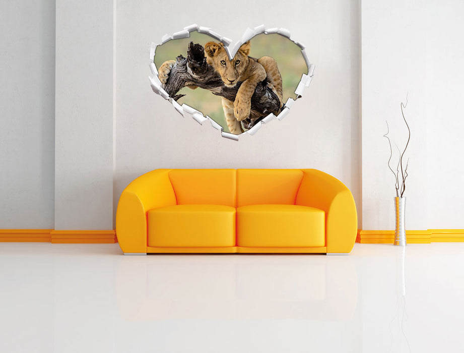 Junger Löwe in der Natur 3D Wandtattoo Herz Wand