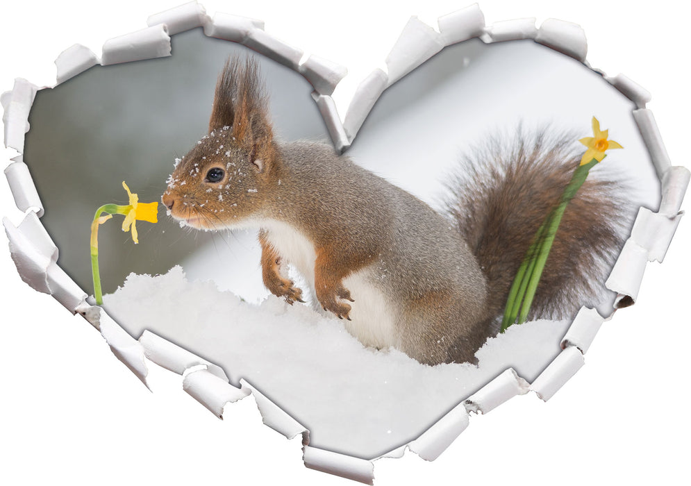 Eichhörnchen im Schnee  3D Wandtattoo Herz