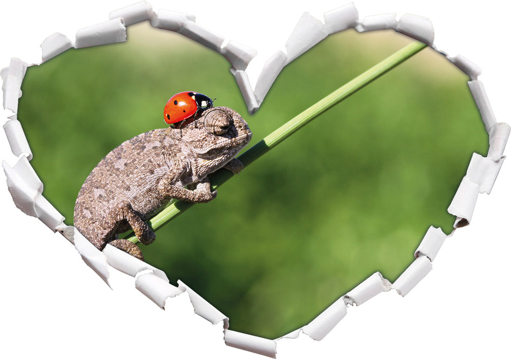 Süßer Gecko mit einem Marienkäfer  3D Wandtattoo Herz