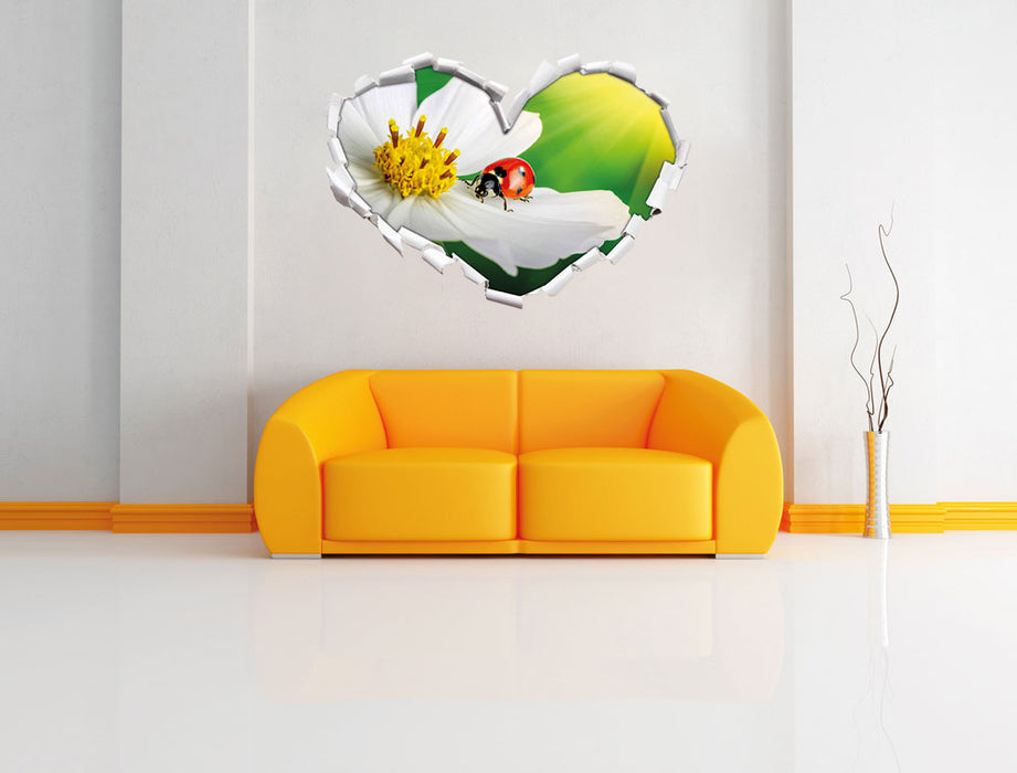 Marienkäfer auf einer weißen Blume 3D Wandtattoo Herz Wand