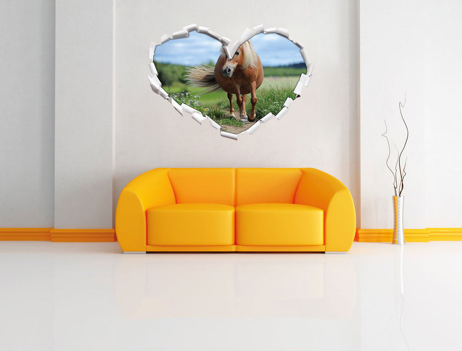 Shetlandpony auf der Wiese 3D Wandtattoo Herz Wand