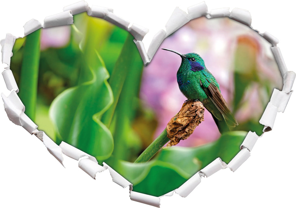 Kolibri in seinem Lebensraum  3D Wandtattoo Herz