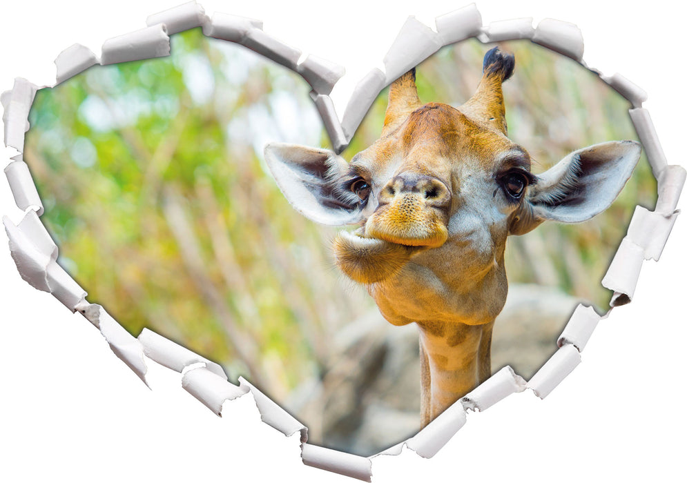 Giraffe in der Natur  3D Wandtattoo Herz