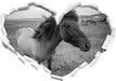 Isländer Pferde in der Wildnis  3D Wandtattoo Herz
