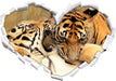Zwei junge Tiger beim Kämpfen  3D Wandtattoo Herz