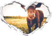Kuh auf Blumenwiese 3D Wandtattoo Herz