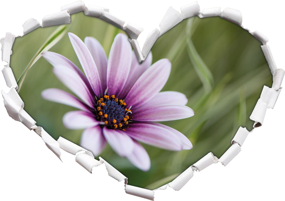 Blume in der Natur  3D Wandtattoo Herz