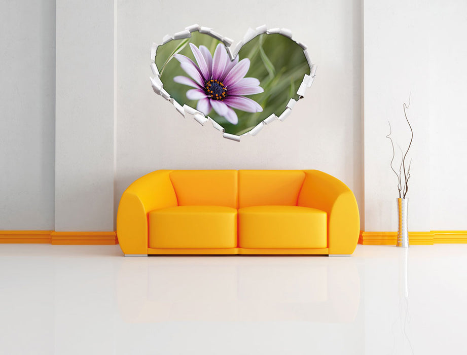 Blume in der Natur 3D Wandtattoo Herz Wand