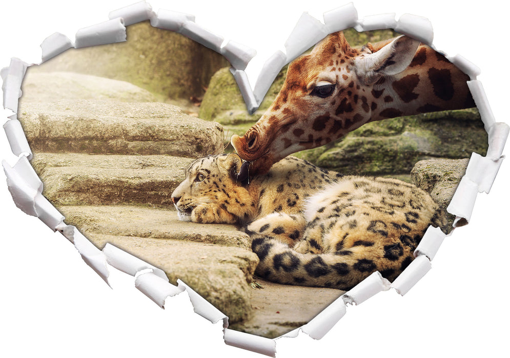 Leopard und Giraffe  3D Wandtattoo Herz