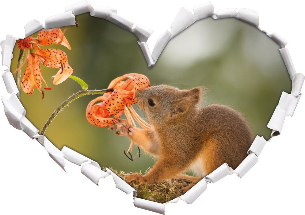 Eichhörnchen riecht an einer Blume 3D Wandtattoo Herz