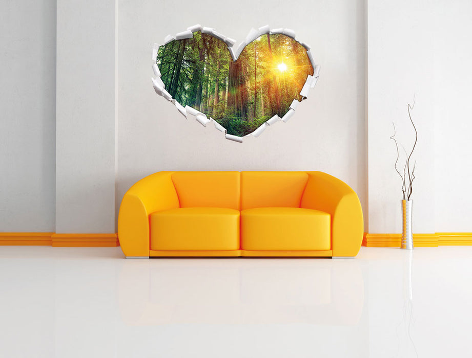 Wald bei Sonnenlicht 3D Wandtattoo Herz Wand