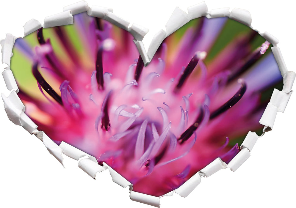 wunderschöne lila Blume im Fokus  3D Wandtattoo Herz