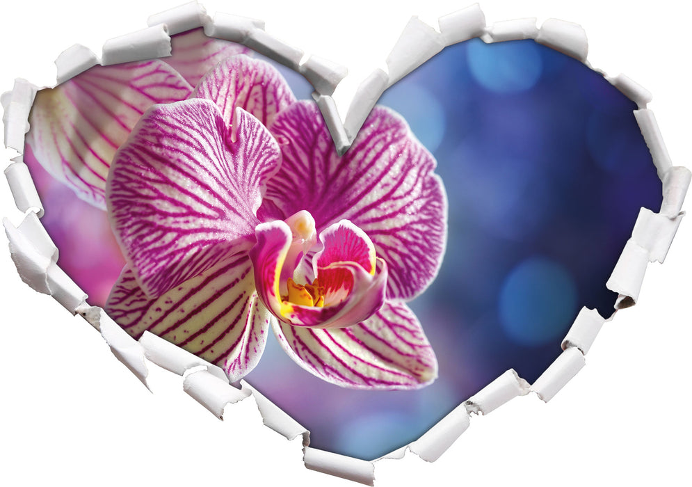 farbenOrchidee in der Nahaufnahme  3D Wandtattoo Herz