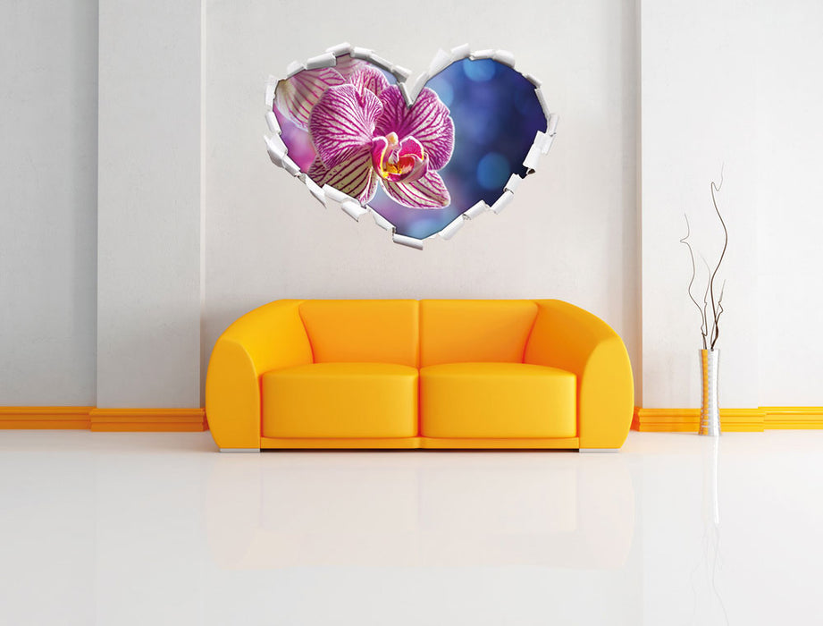 farbenOrchidee in der Nahaufnahme 3D Wandtattoo Herz Wand