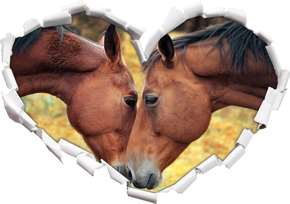 zwei schmusende Pferde  3D Wandtattoo Herz