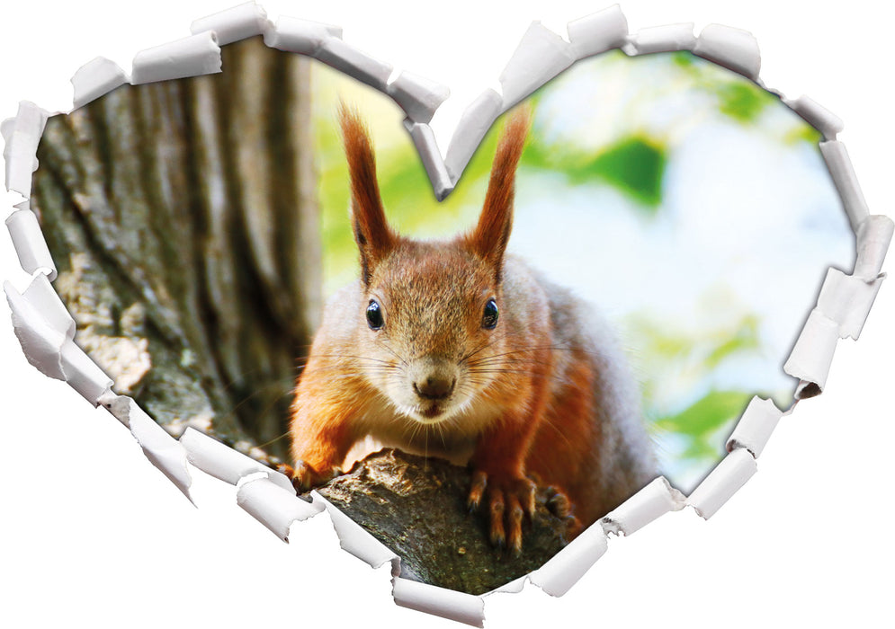 Eichhörnchen auf dem Baum  3D Wandtattoo Herz