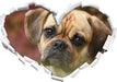 Mops Welpe  3D Wandtattoo Herz