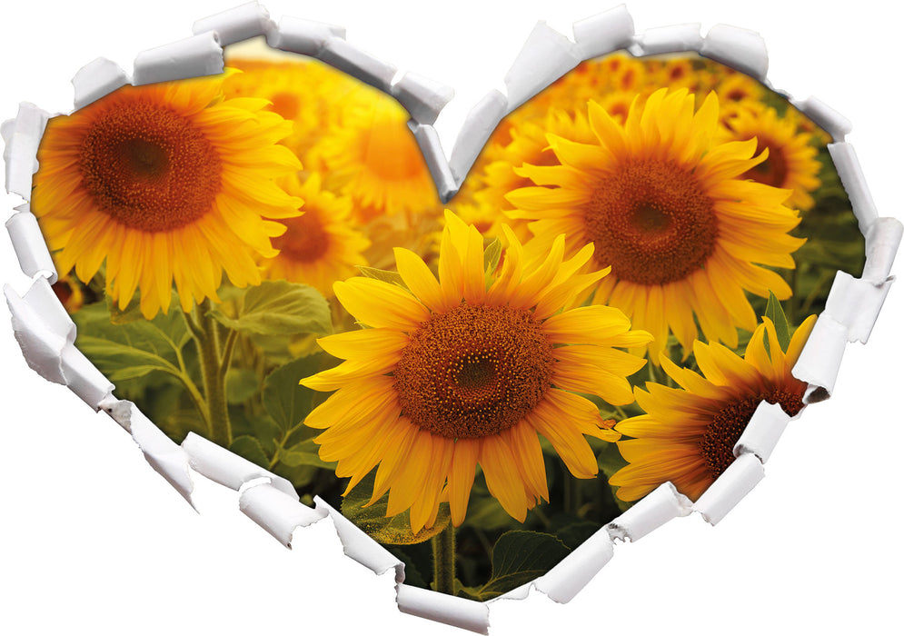 Sonnenblumen auf dem Feld 3D Wandtattoo Herz