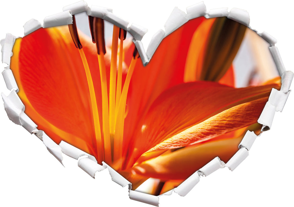 orange Lilie in Nahaufnahme  3D Wandtattoo Herz