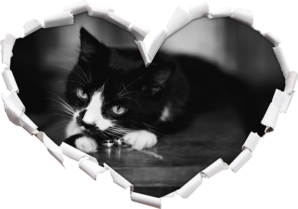 Katze spielt mit Ehering  3D Wandtattoo Herz
