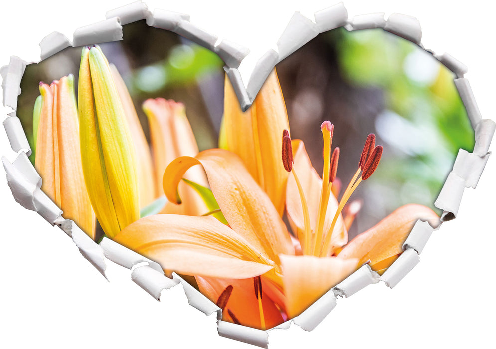 schöne orangene Lilien  3D Wandtattoo Herz
