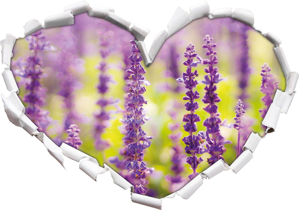 schöne violette Lavendelblüten  3D Wandtattoo Herz