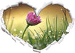 rosa Gänseblümchen im Gras  3D Wandtattoo Herz