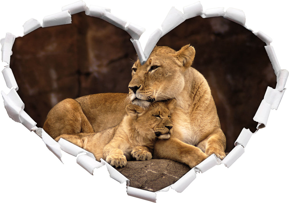 Löwe mit Löwenjungen  3D Wandtattoo Herz