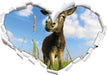 Esel in einem Feld 3D Wandtattoo Herz