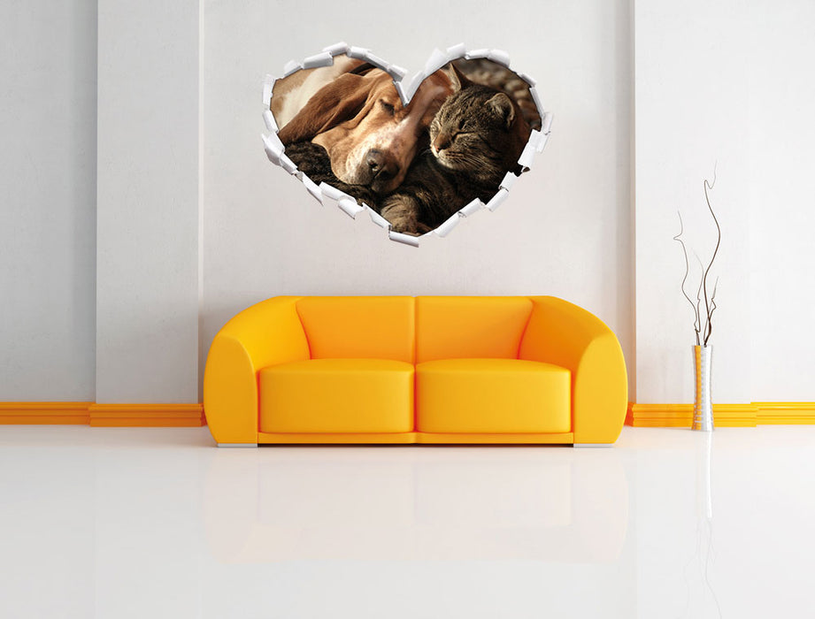 Katze und Hund kuschelnd 3D Wandtattoo Herz Wand