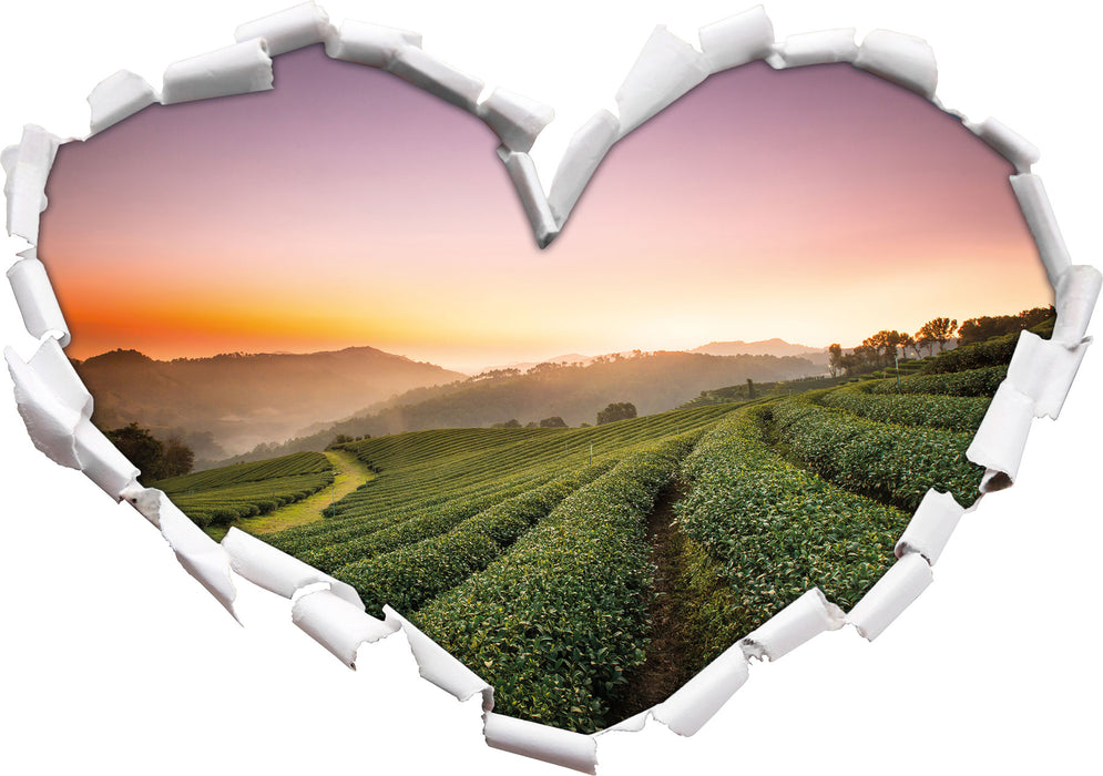 Sonnenaufgang Teeplantage Thailand  3D Wandtattoo Herz