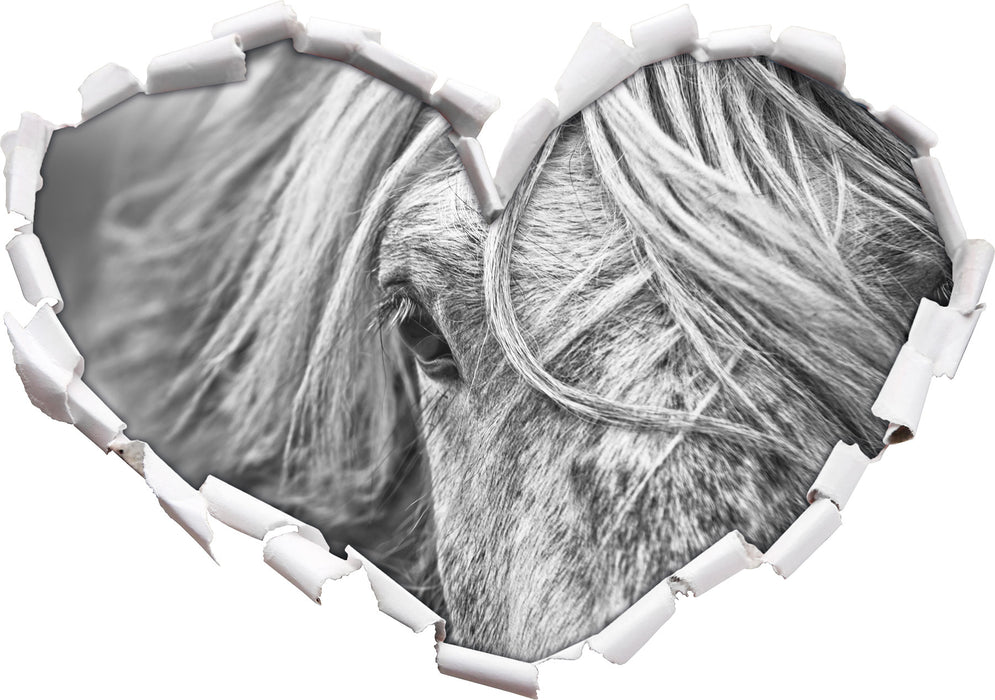 Islandpony in den Westfjorden  3D Wandtattoo Herz